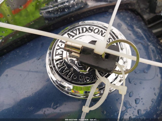 2003 HARLEY-DAVIDSON FLHR 1HD1FDV393Y722939 Photo 10