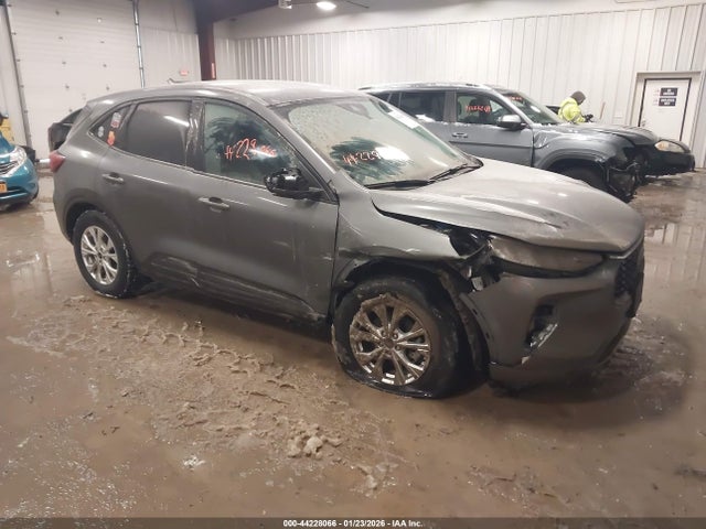 2025 FORD ESCAPE 1FMCU9GN1SUA49268