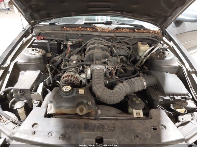 2007 FORD MUSTANG 1ZVFT84NX75235800 Photo 9