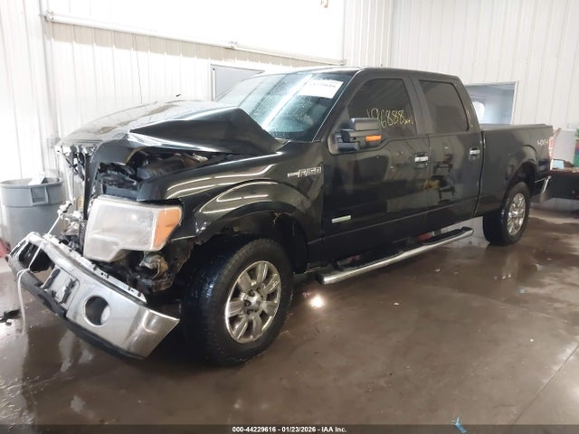 Продажа на аукционе авто 2011 Ford F-150 Xlt, vin: 1FTFW1ET7BFA71424, номер лота: 44229616