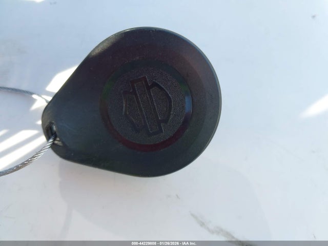 2021 HARLEY-DAVIDSON FLFBS 1HD1YGK16MB053046 Photo 10
