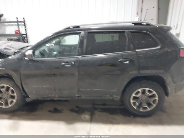 1C4PJMBXXLD582750 Jeep Cherokee Trailhawk 4x4