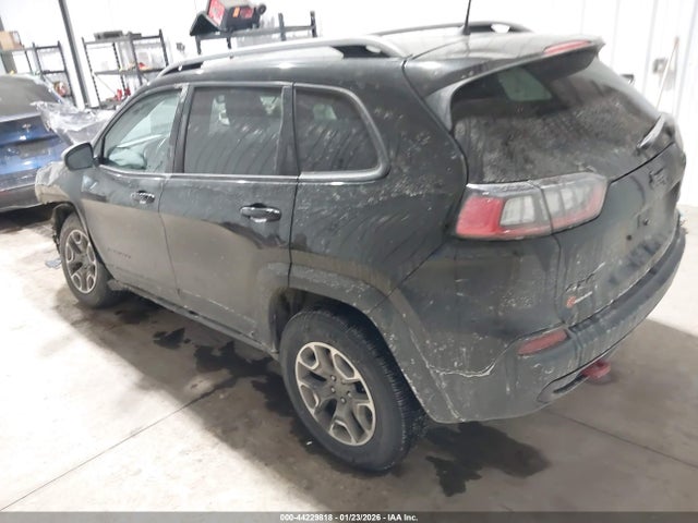 1C4PJMBXXLD582750 Jeep Cherokee Trailhawk 4x4