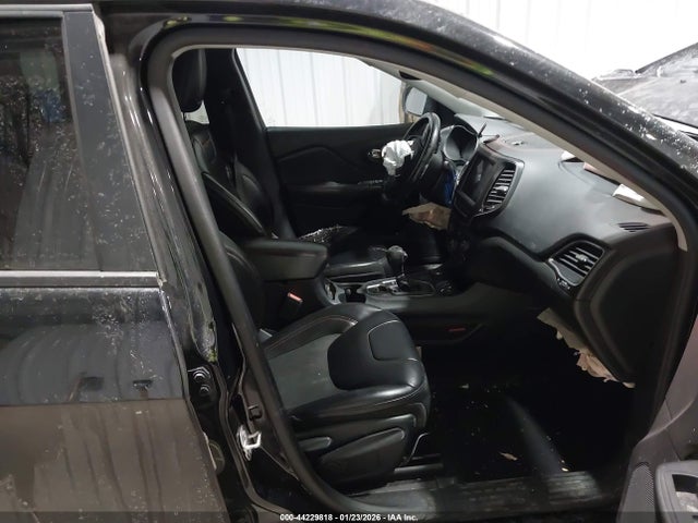 1C4PJMBXXLD582750 Jeep Cherokee Trailhawk 4x4