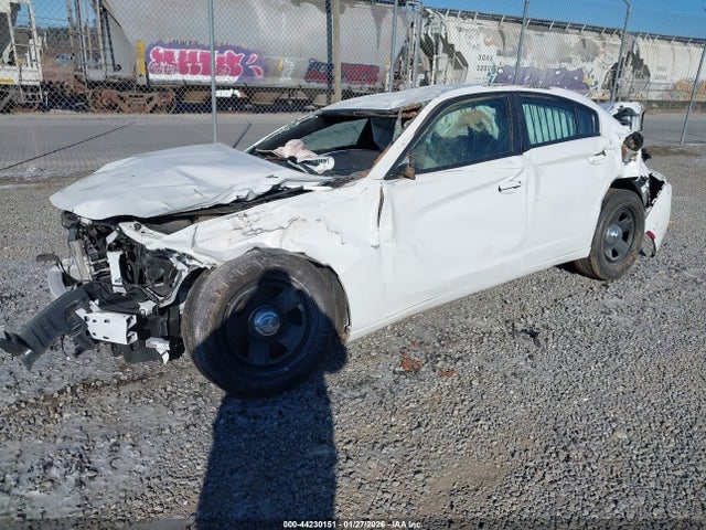 44230151 :رقم المزاد ، 2C3CDXAT8PH551323 vin ، 2023 Dodge Charger Police Rwd مزاد بيع