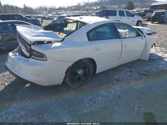 44230151 :رقم المزاد ، 2C3CDXAT8PH551323 vin ، 2023 Dodge Charger Police Rwd مزاد بيع