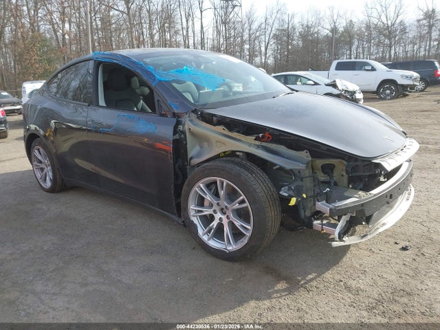 2024 TESLA MODEL Y 7SAYGDEE0RF083795 Photo 0