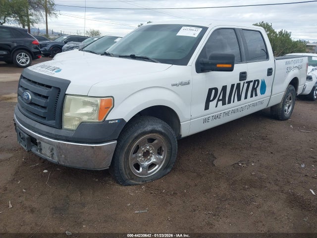 Aukcja sprzedaży 2010 Ford F-150 Xl, vin: 1FTEW1CW9AKE10716, numer aukcji: 44230642