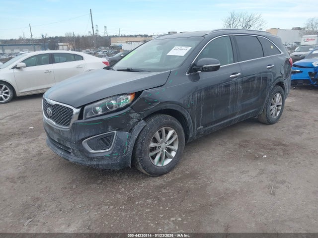 5XYPGDA32GG163764 KIA Sorento 2.4l Lx