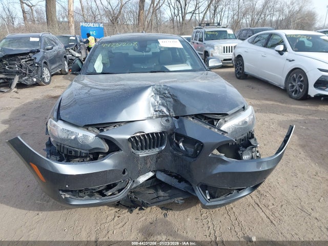 Aukcja sprzedaży 2016 Bmw 228i Xdrive, vin: WBA1G9C59GV599521, numer aukcji: 44231208
