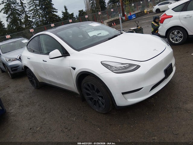 2023 TESLA MODEL Y 7SAYGDEE7PA079849 Photo 0