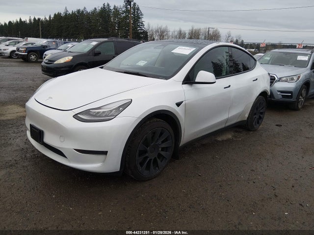 2023 TESLA MODEL Y 7SAYGDEE7PA079849 Photo 1