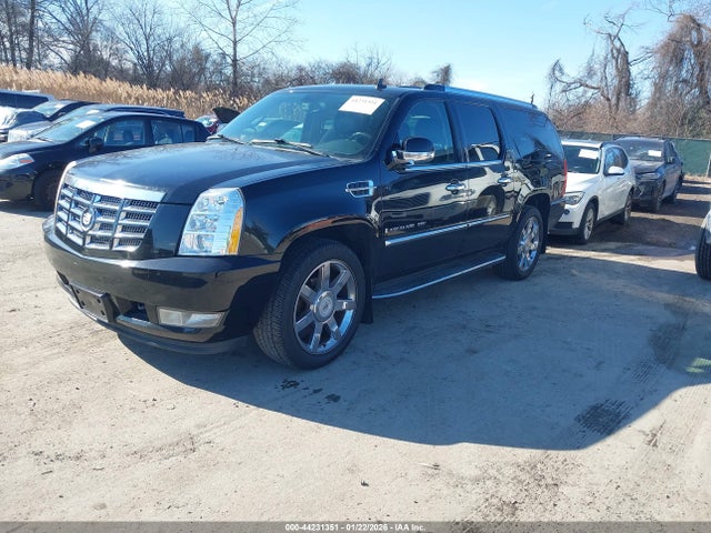 2009 CADILLAC ESCALADE ESV 1GYFK26209R113202 Photo 1