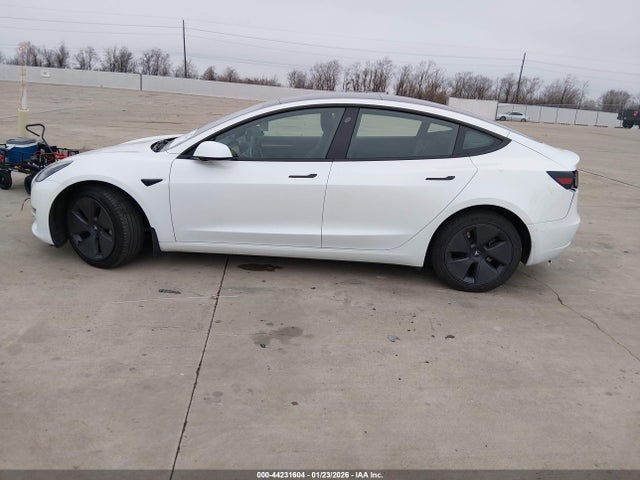 Продаж на аукціоні авто 2023 Tesla Model 3 Rear-wheel Drive, vin: 5YJ3E1EA6PF606260, номер лоту: 44231604