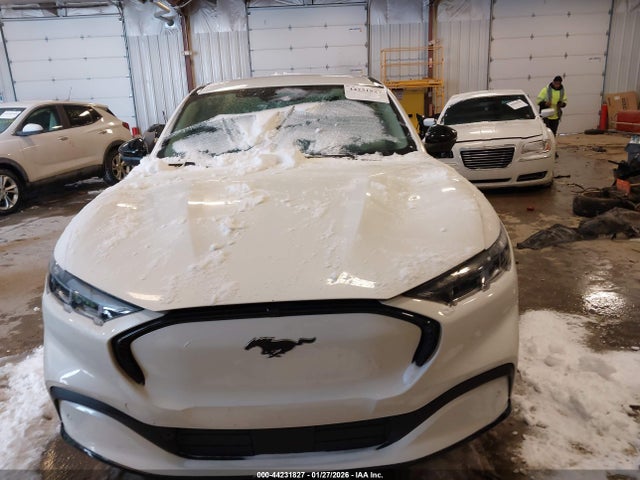 Ford Mustang Mach-e Premium 2024 3FMTK3SU2RMA42927 Image 12
