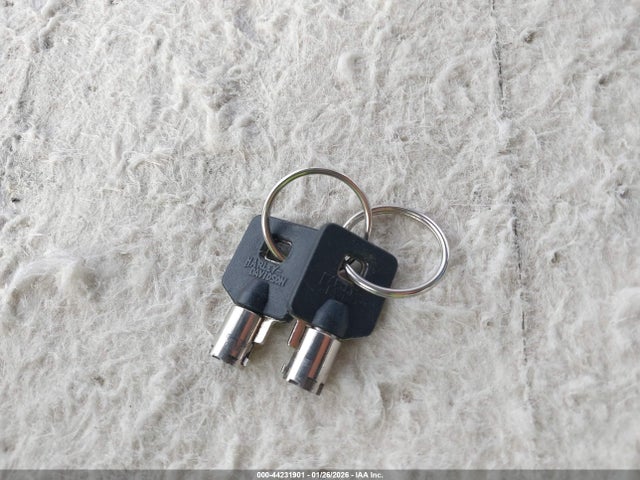 2001 HARLEY-DAVIDSON FLSTF 1HD1BMY1X1Y059741 Photo 10