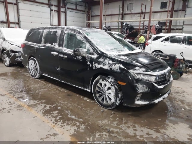 2024 HONDA ODYSSEY 5FNRL6H66RB063760