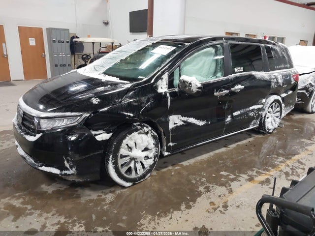 2024 HONDA ODYSSEY 5FNRL6H66RB063760 Photo 1