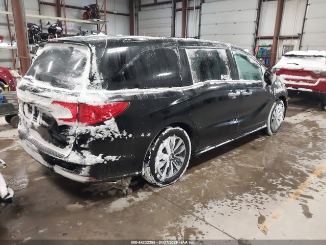 2024 HONDA ODYSSEY 5FNRL6H66RB063760 Photo 3
