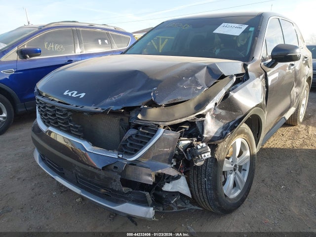 Продажа на аукционе авто 2025 Kia Sorento Lx, vin: 5XYRG4JC8SG384304, номер лота: 44232406
