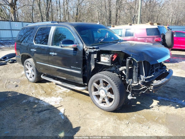 2011 CADILLAC ESCALADE 1GYS3BEF8BR294684 Photo 0