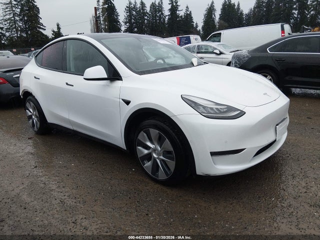2020 TESLA MODEL Y 5YJYGDEE4LF055566 Photo 0