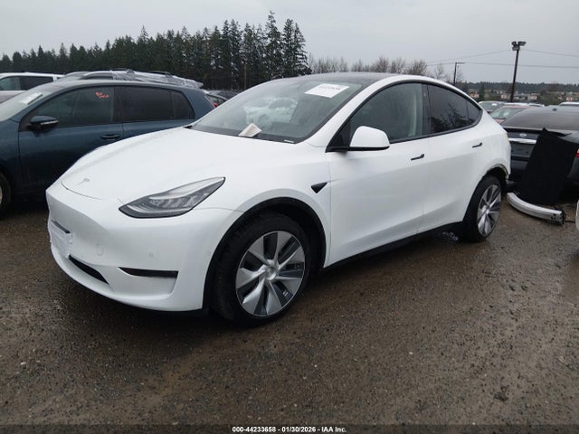 2020 TESLA MODEL Y 5YJYGDEE4LF055566 Photo 1