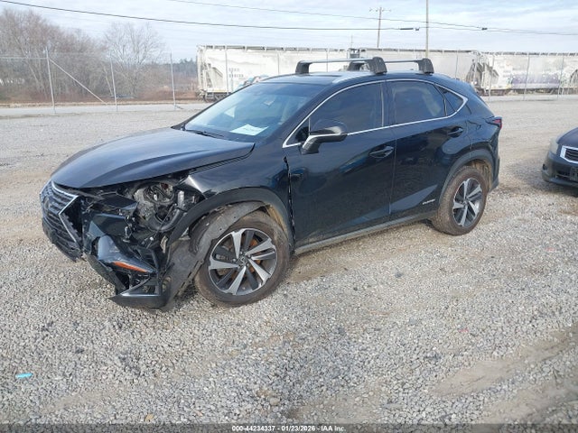 JTJBJRBZXK2100956 Lexus NX 300H