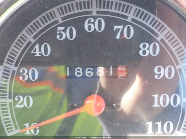 1987 HARLEY-DAVIDSON FLST 1HD1BJL13HY021560 Photo 6