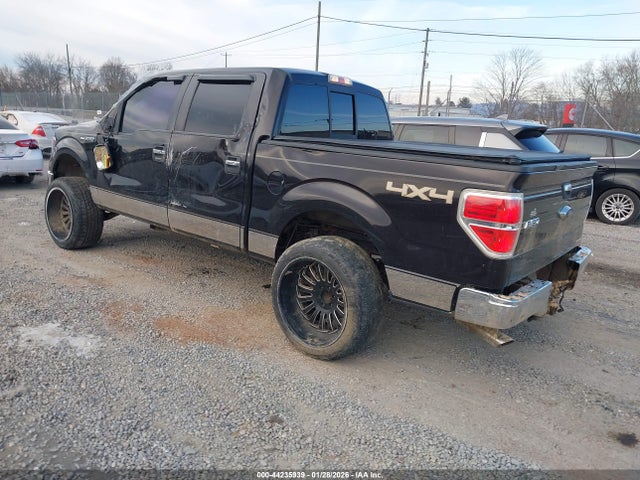 2014 FORD F-150 1FTFW1EF9EKF13934 Photo 2