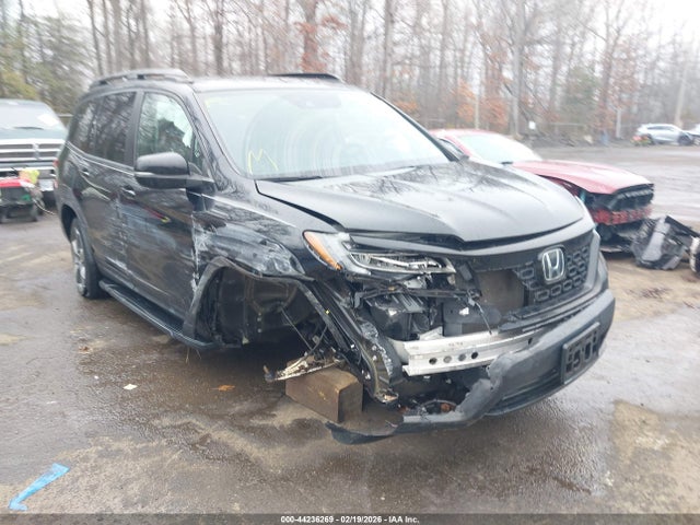 2019 HONDA PASSPORT 5FNYF8H95KB027296