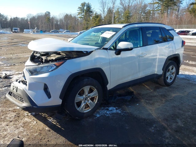 2T3P1RFV8KW011717 Toyota Rav4 Xle