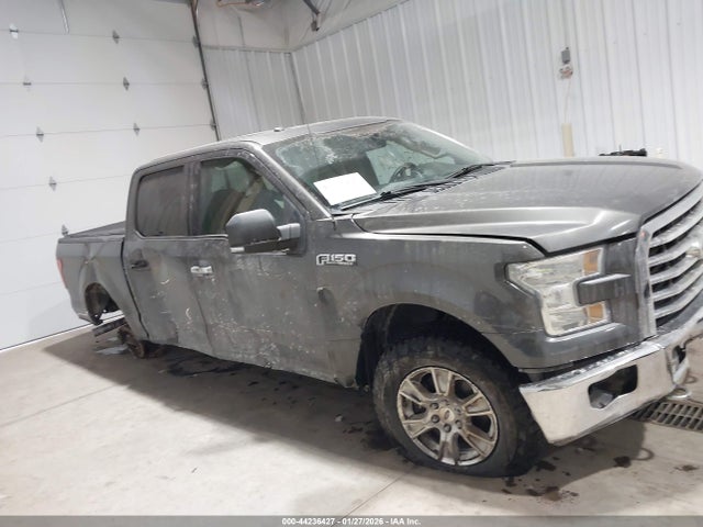 Ford F-150 Xlt 2016 1FTEW1EF7GKD44253 Image 13