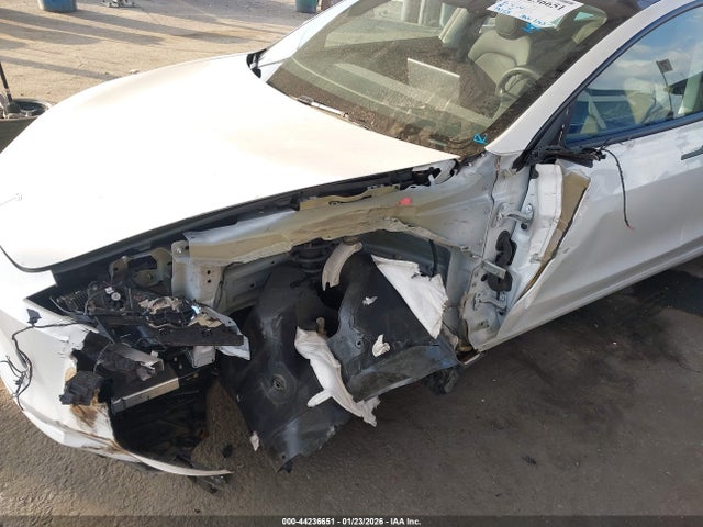 2024 TESLA MODEL 3 5YJ3E1EB6RF733599 Photo 5