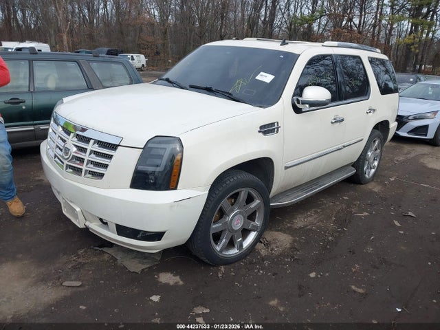 2008 CADILLAC ESCALADE 1GYFK63818R254391 Photo 1