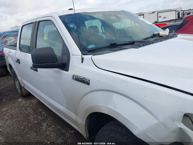 Aukcja sprzedaży 2019 Ford F-150 Xl, vin: 1FTEW1CB2KKE16310, numer aukcji: 44238026