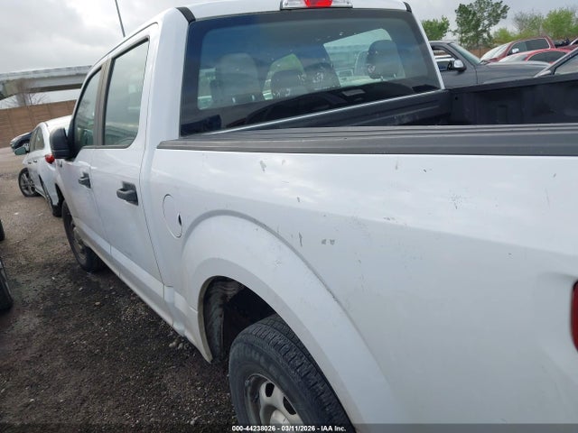 Aukcja sprzedaży 2019 Ford F-150 Xl, vin: 1FTEW1CB2KKE16310, numer aukcji: 44238026