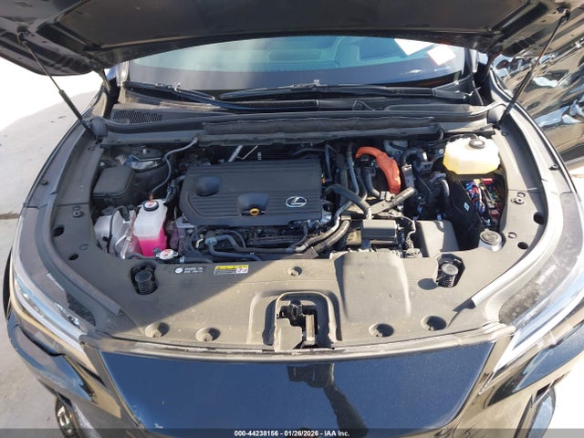 44238156 :رقم المزاد ، 2T2BBMCA1SC072876 vin ، 2025 Lexus Rx 350h Premium Plus مزاد بيع