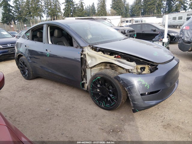 2023 TESLA MODEL Y 7SAYGDED7PF968631