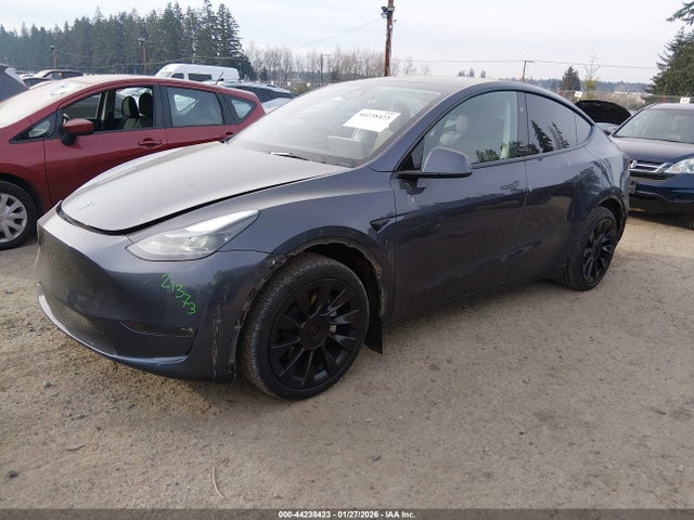 2023 TESLA MODEL Y 7SAYGDED7PF968631 Photo 1