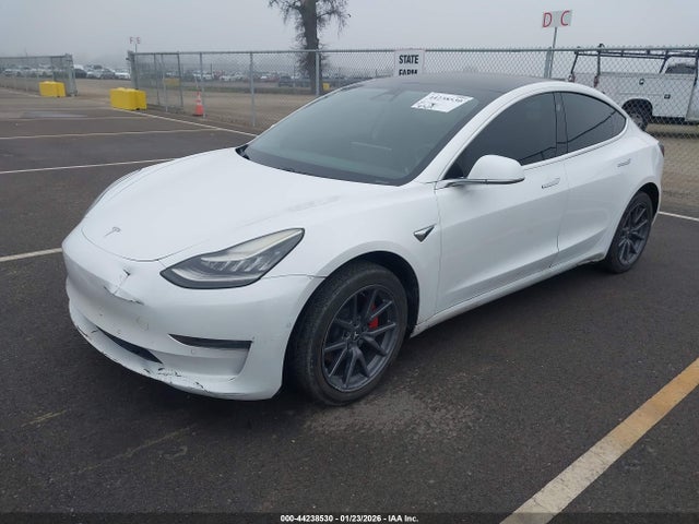 2019 TESLA MODEL 3 5YJ3E1EA8KF425184 Photo 1