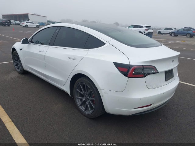 2019 TESLA MODEL 3 5YJ3E1EA8KF425184 Photo 2