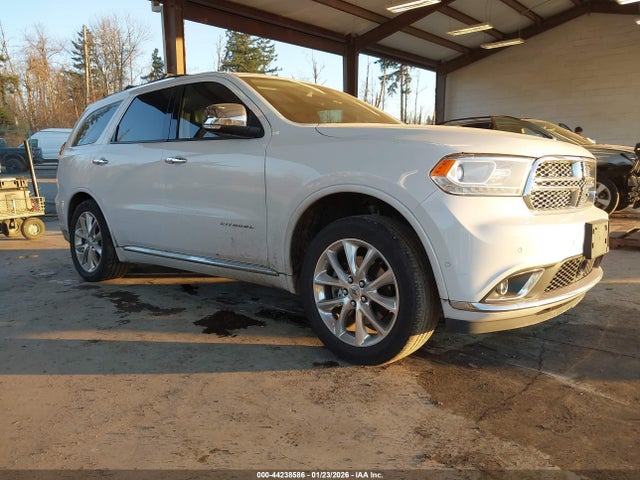 2019 DODGE DURANGO 1C4RDJEG2KC738259