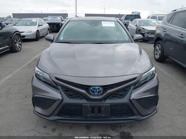 4T1G31AK8RU066275 Toyota Camry Hybrid Se