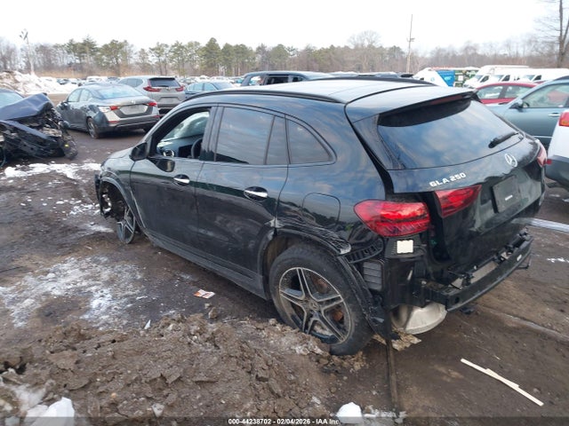 Продаж на аукціоні авто 2024 Mercedes-benz Gla 250 4matic, vin: W1N4N4HB9RJ610656, номер лоту: 44238702