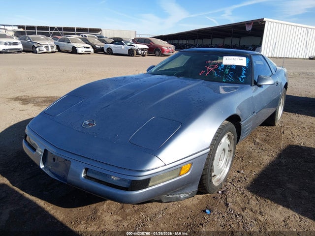 1991 CHEVROLET CORVETTE 1G1YY2386M5101571 Photo 1