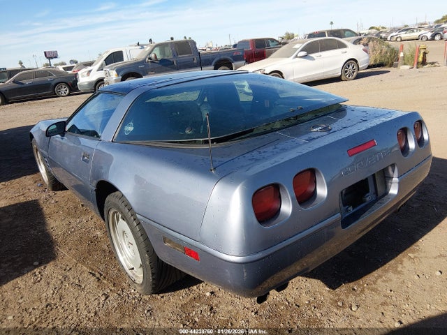 1991 CHEVROLET CORVETTE 1G1YY2386M5101571 Photo 2