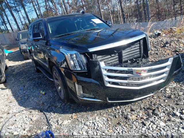 2019 CADILLAC ESCALADE ESV 1GYS4HKJ1KR162522 Photo 0