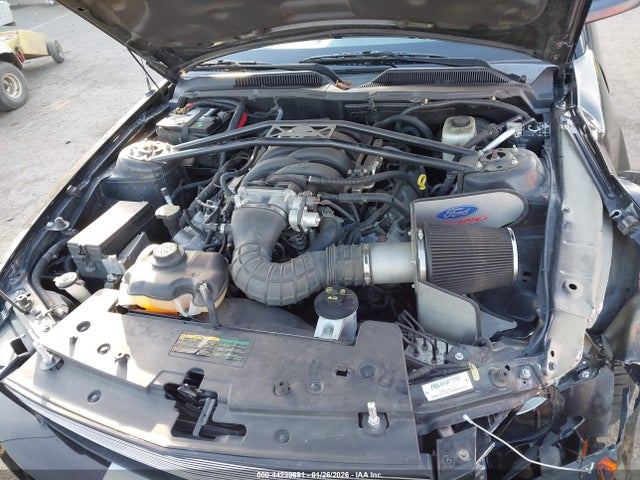 2007 FORD MUSTANG 1ZVHT82H575305189 Photo 9