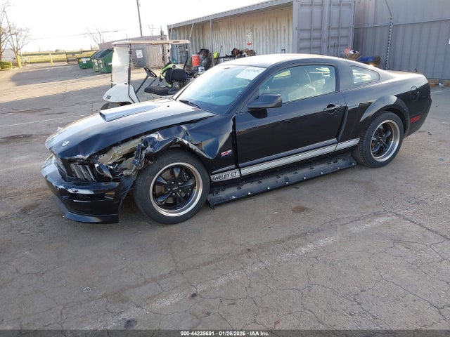 2007 FORD MUSTANG 1ZVHT82H575305189 Photo 1